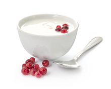 Griekse yoghurt eiwitrijke voeding