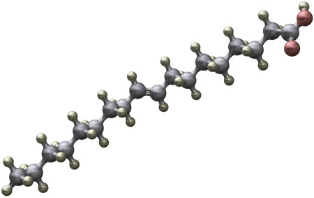 vetzuren-molecuul